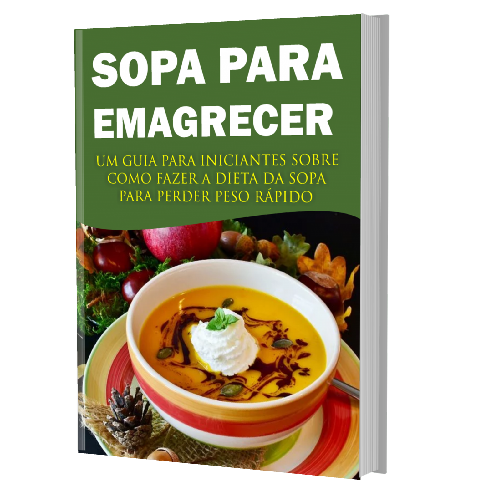Dieta da sopa para emagrecer PDF grátis - Centro Digital Ebooks